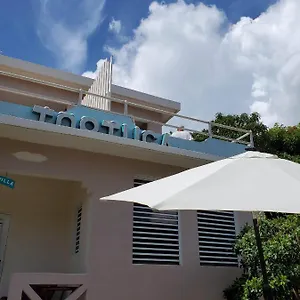 5* Hotel Casa De Tortuga